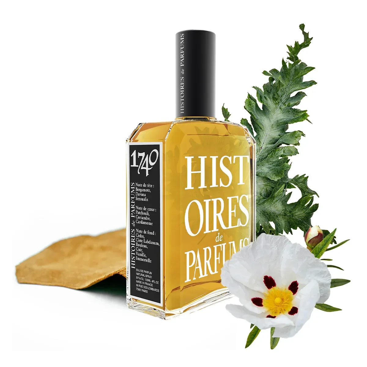 Derinin Egzotik Yorumu: Oud Stallion – görsel 2