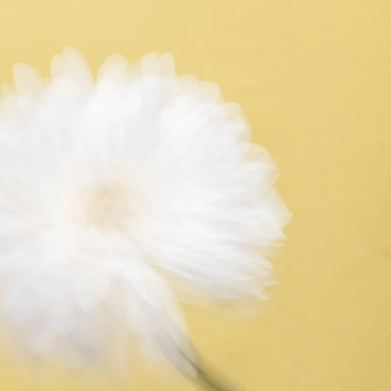 #1 FLORAL DÜŞLER – görsel 1