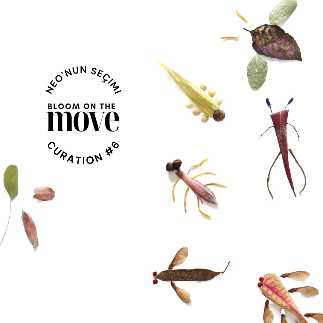 #6 BLOOM ON THE MOVE – görsel 2