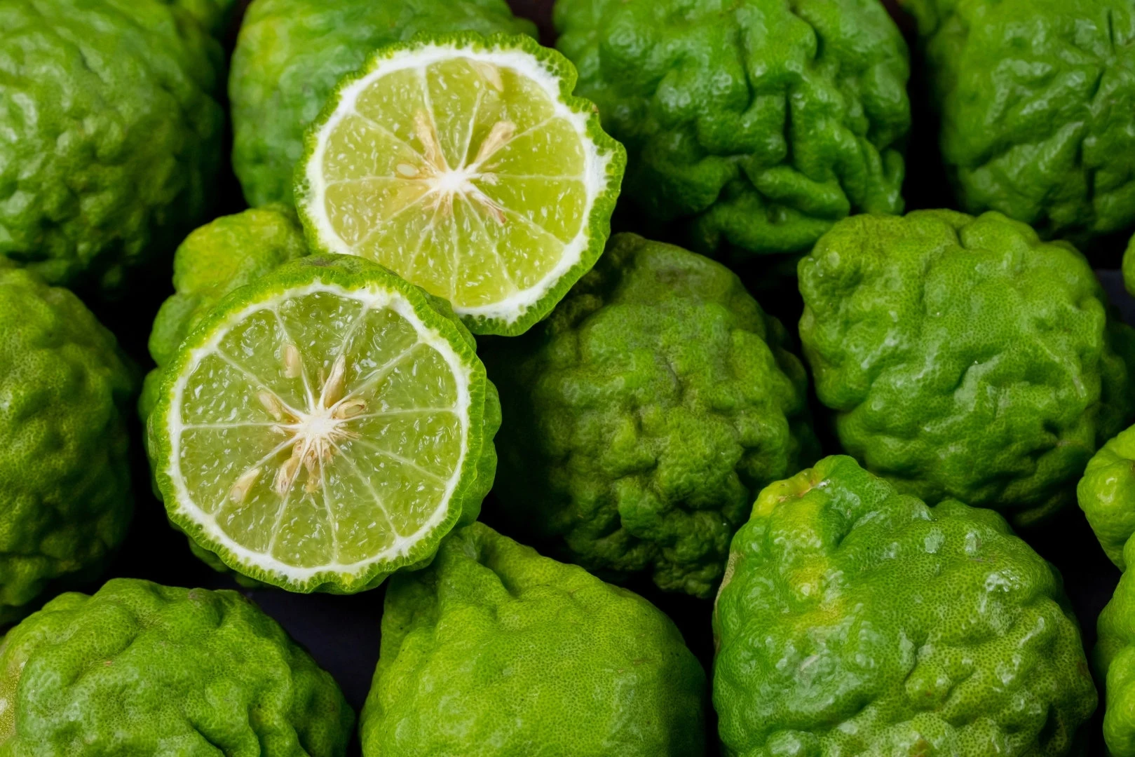 bergamot