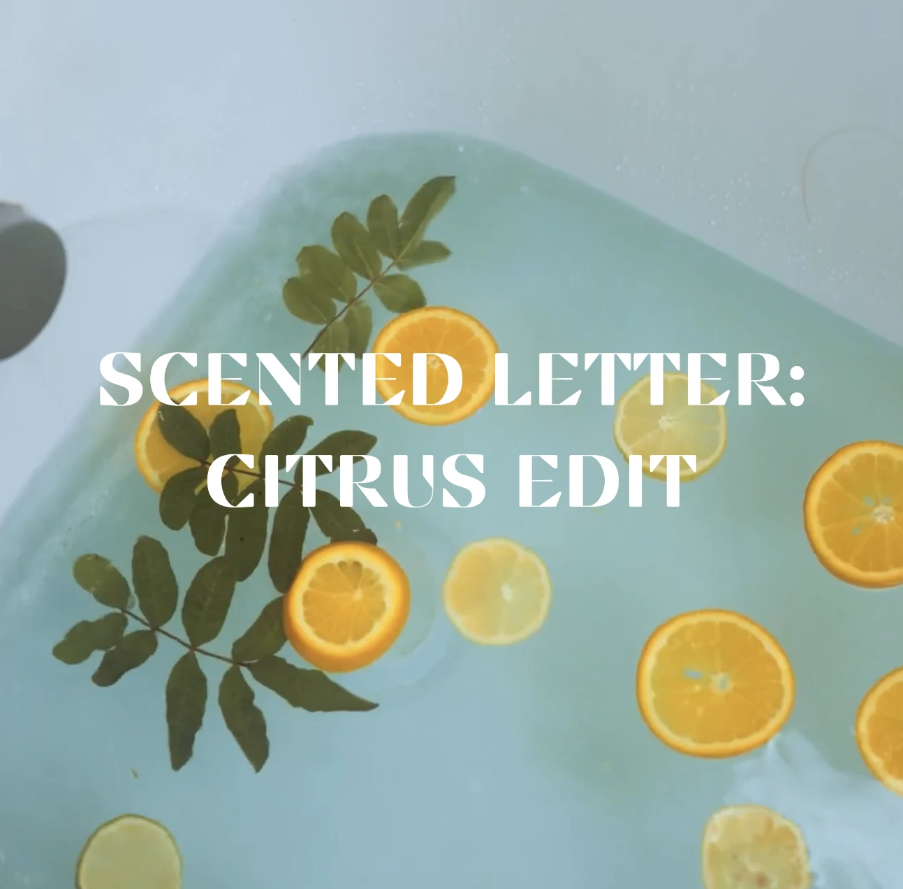 Scented Letter #7: Citrus Edit