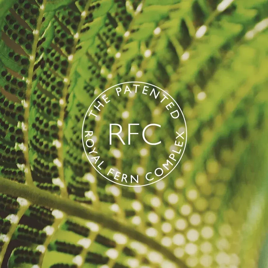 Spotlight: Royal Fern – görsel 2