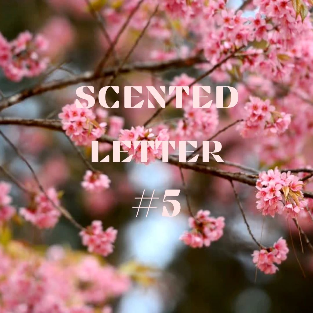 Scented Letter #5
