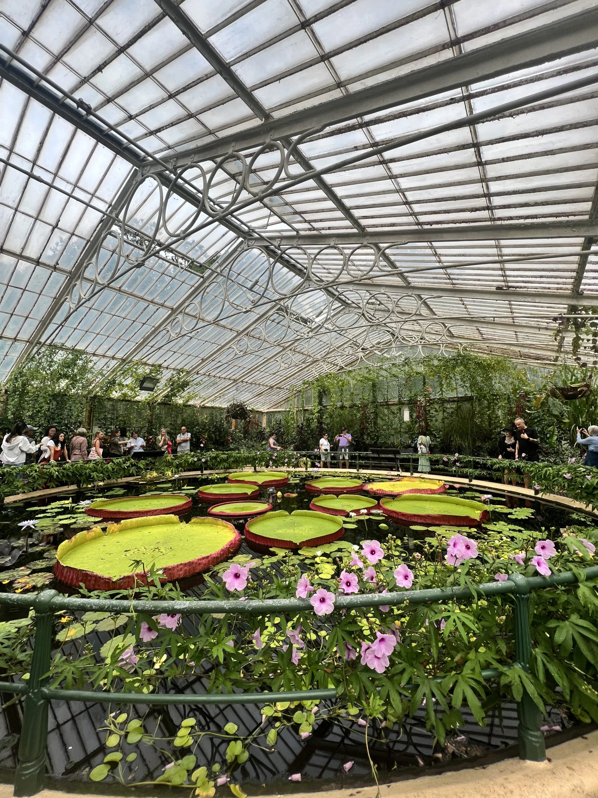 Kew Gardens İzlenimlerim – görsel 7