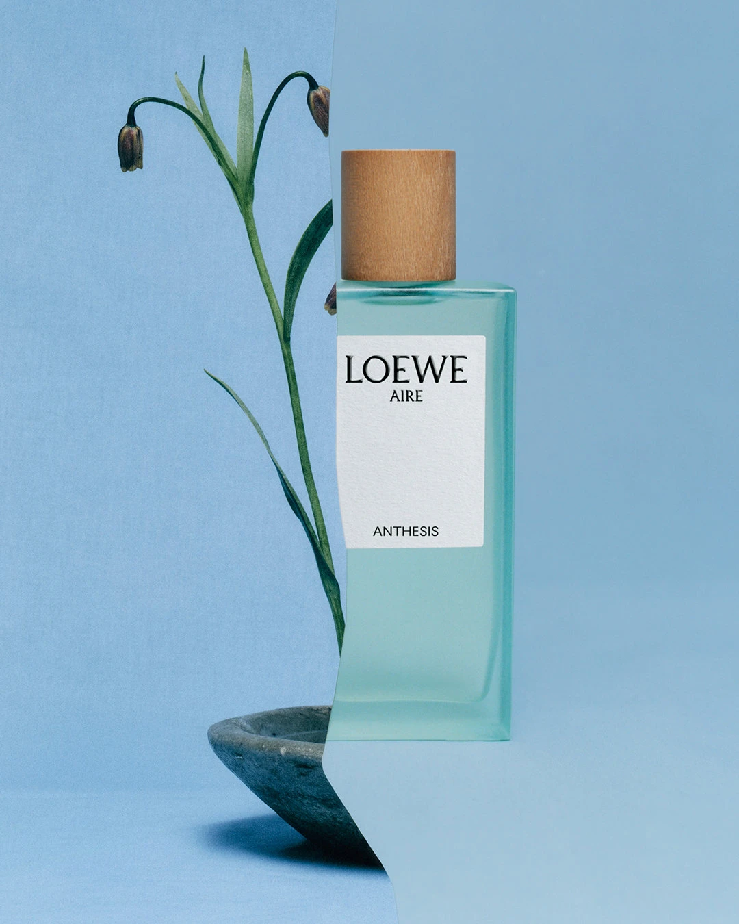 Spotlight: LOEWE – görsel 12