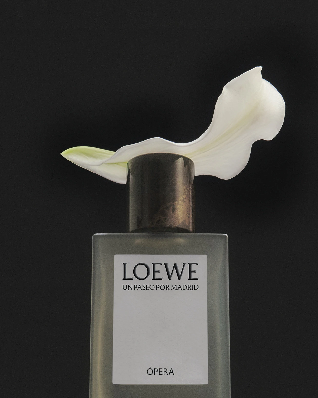 Çağdaş, Zamansız Bir Zanaat: LOEWE – görsel 6