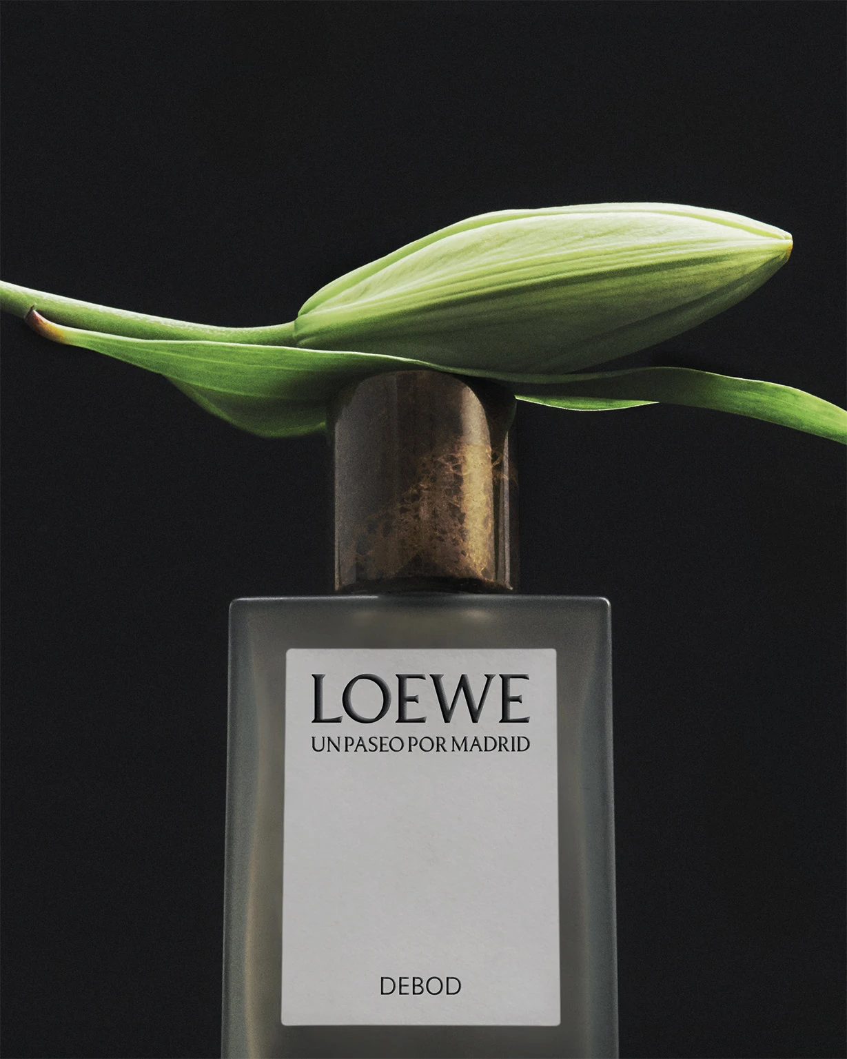 Spotlight: LOEWE – görsel 8