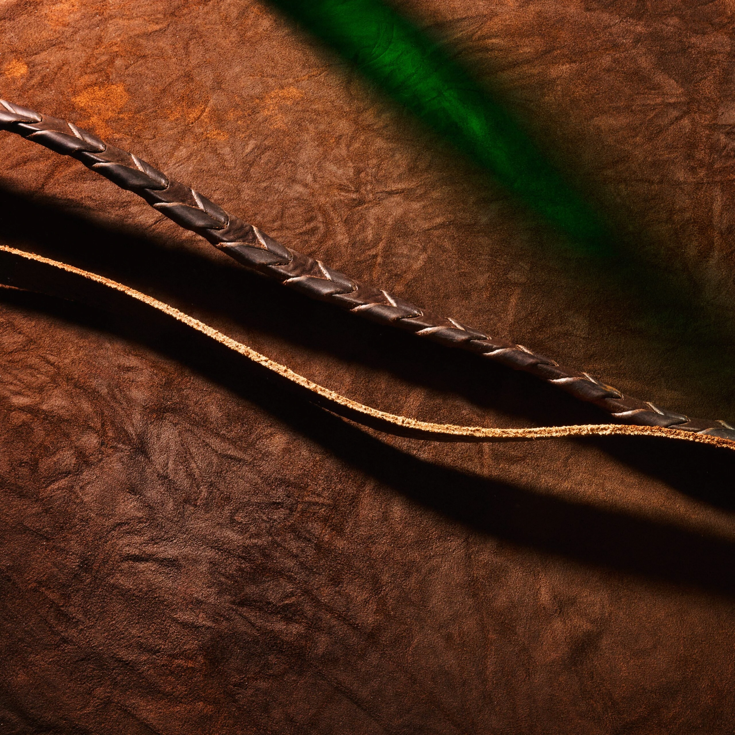 Derinin Egzotik Yorumu: Oud Stallion – görsel 4