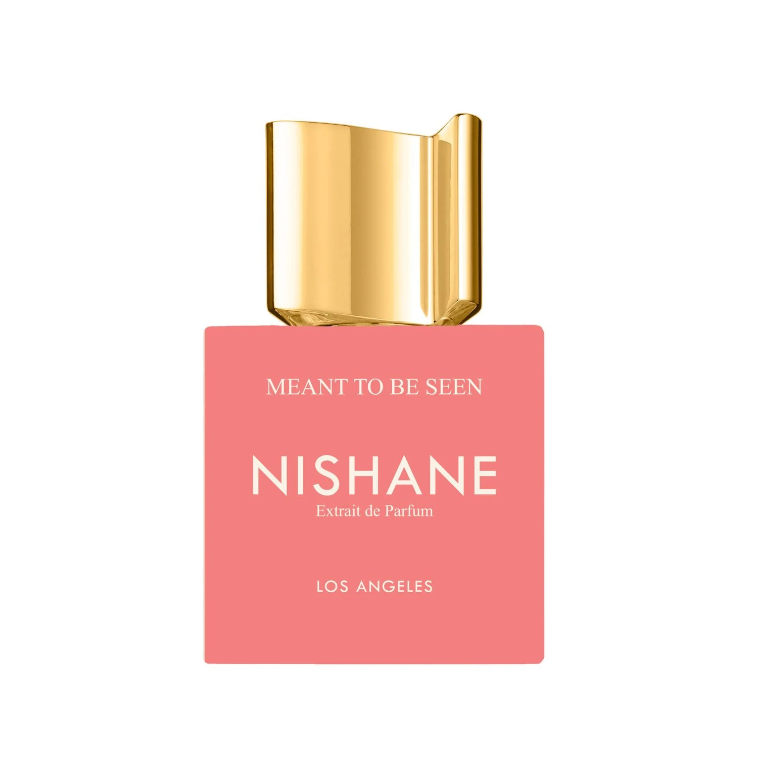 Nishane Meant To Be Seen 100 ml