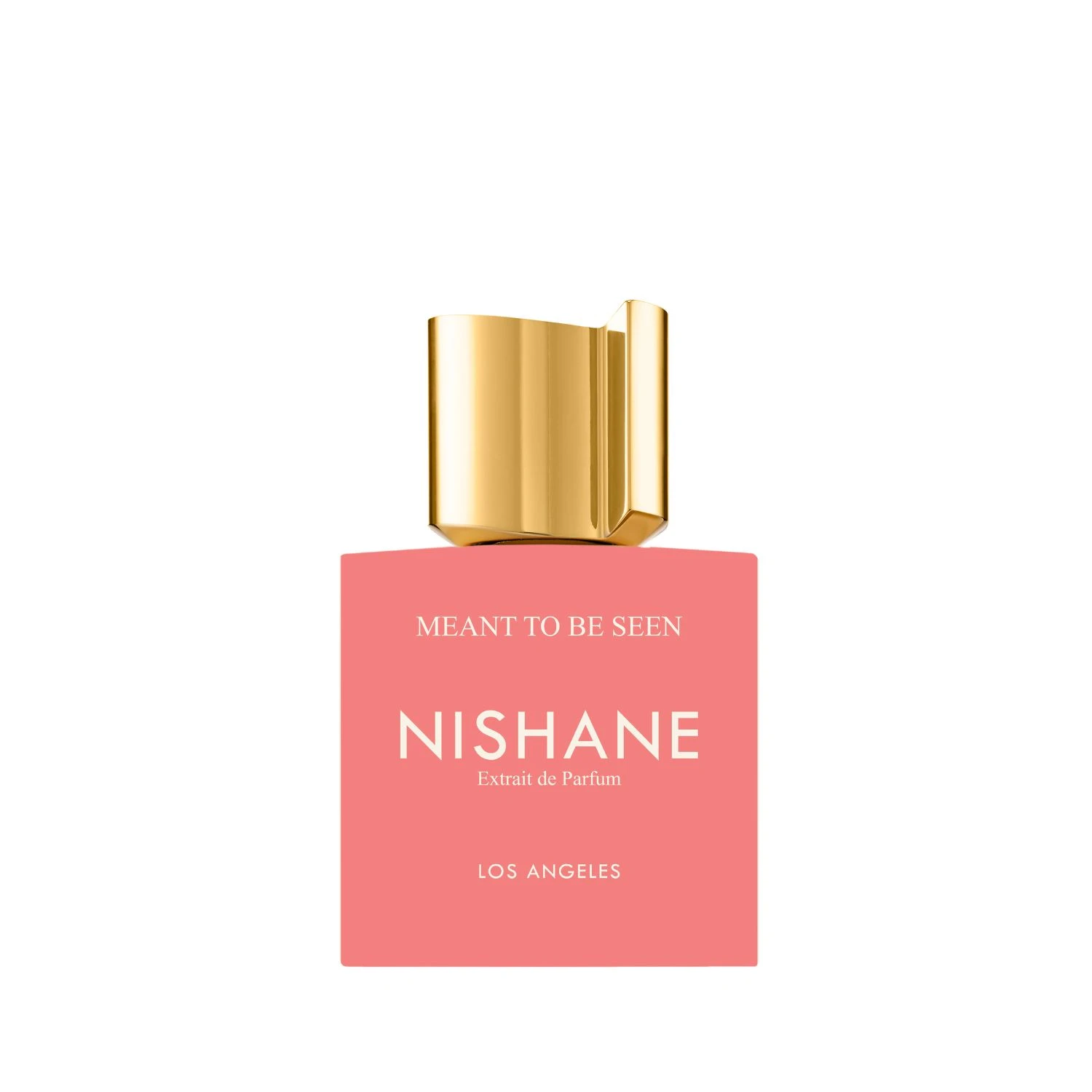 Nishane Meant To Be Seen 50 ml