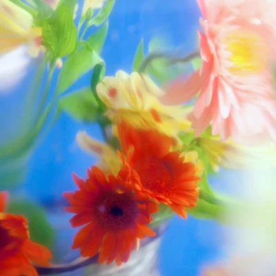 #1 FLORAL DÜŞLER – görsel 3
