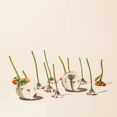 #6 BLOOM ON THE MOVE – görsel 3